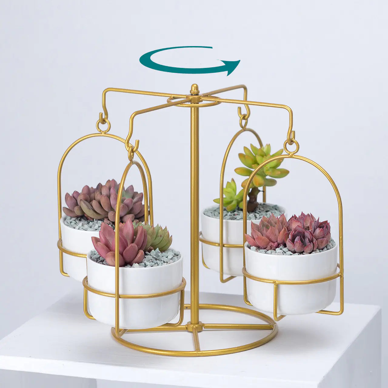 Rotating Carousel Ceramic Succulent Planter Set