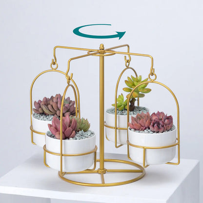 Rotating Carousel Ceramic Succulent Planter Set