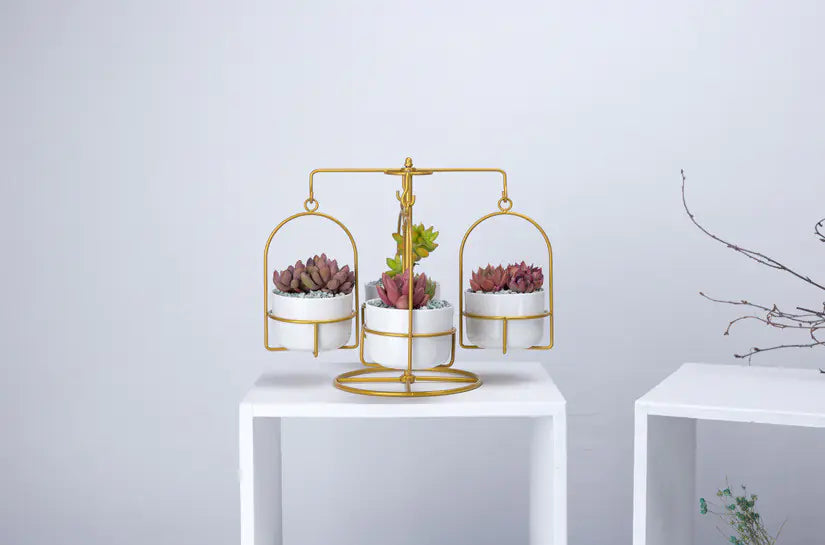 Rotating Carousel Ceramic Succulent Planter Set