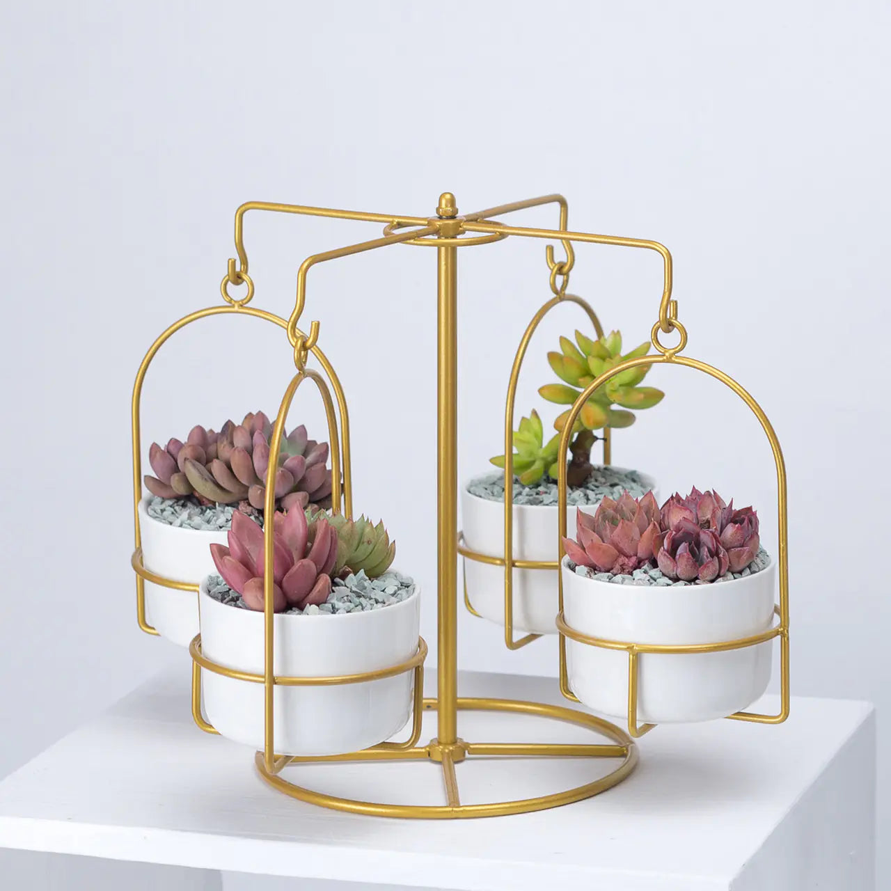 Rotating Carousel Ceramic Succulent Planter Set