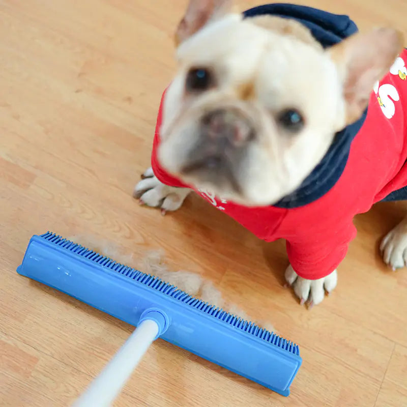 Pet Hair Remover Broom and Cleaning Tool