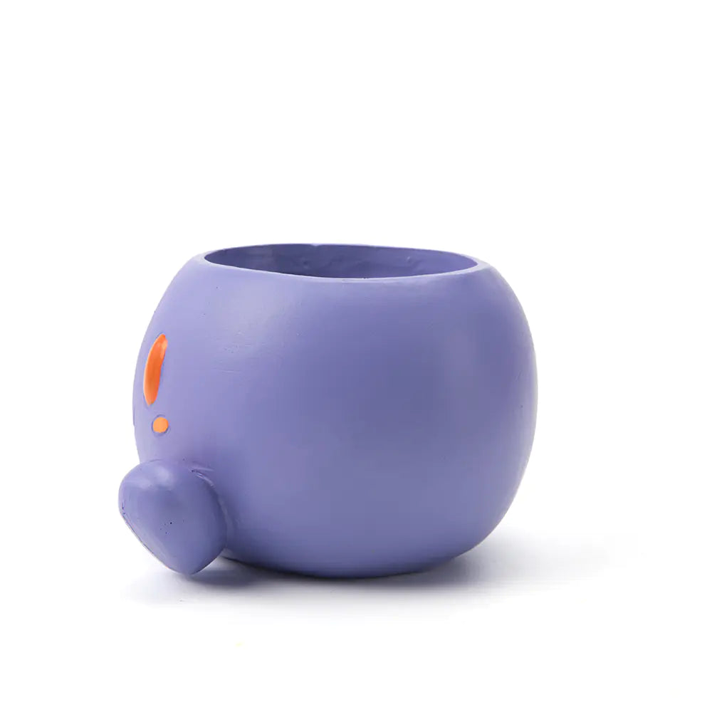 Oddish Planter for Succulent Plants and Pots