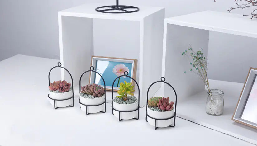 Rotating Carousel Ceramic Succulent Planter Set
