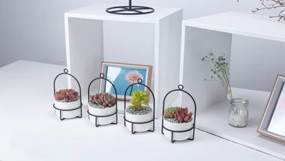 Rotating Carousel Ceramic Succulent Planter Set