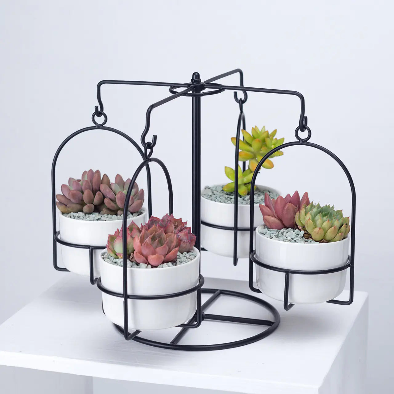 Rotating Carousel Ceramic Succulent Planter Set